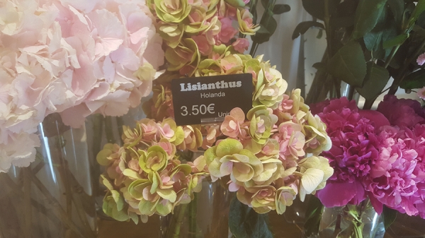 Edikio tarjetas porta precios en floristerías